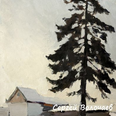 024_Ель у двора. 1977. Картон, масло. 48 х 33