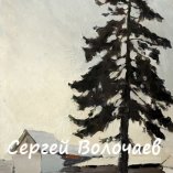 024_Ель у двора. 1977. Картон, масло. 48 х 33
