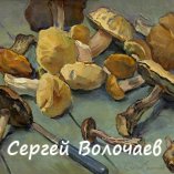 136_Грибы. 1989. Картон, масло. 40 х 50