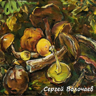 184_Грибы. 2001. ДВП, масло. 41,5 х 50,5