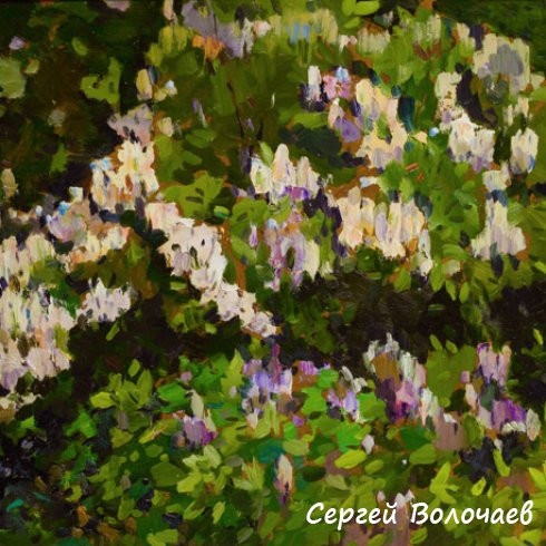 187_Сирень цветет. 2001. ДВП, масло. 50 х 64