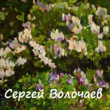 187_Сирень цветет. 2001. ДВП, масло. 50 х 64