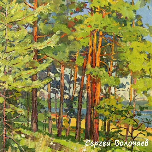 94_Освещенные солнцем. 1986. Картон, масло. 50 х 40