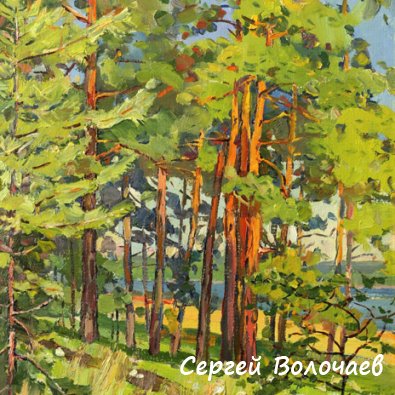 94_Освещенные солнцем. 1986. Картон, масло. 50 х 40