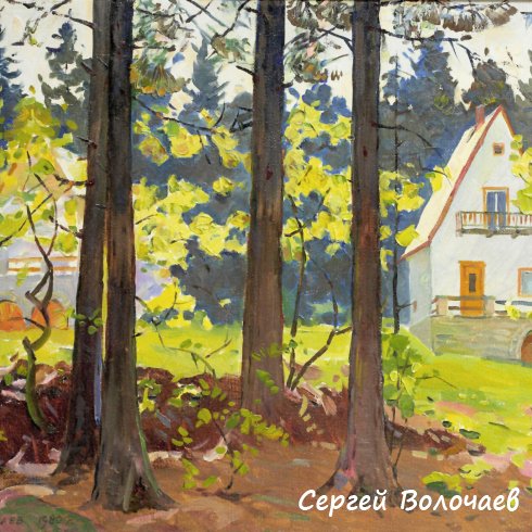 047_Шумава. Дачи. 1980. Картон, масло. 50 х 65