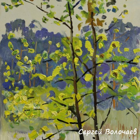 51_Этюд. Осина. 1980. Картон, масло. 40 х 22,5