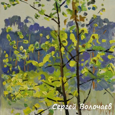 51_Этюд. Осина. 1980. Картон, масло. 40 х 22,5