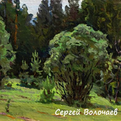 099_Лесная поляна. 1986. Картон, масло. 13 х 18