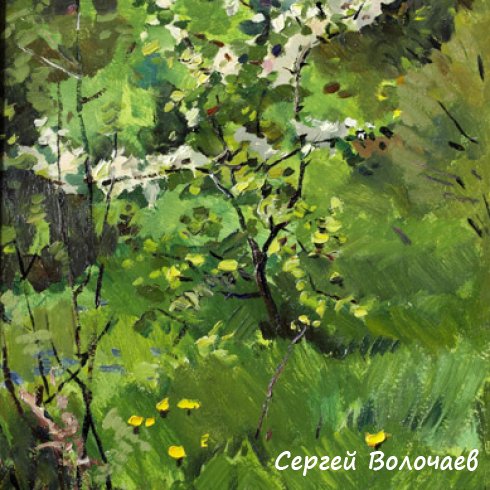 103_Май. Яблоня. 1986. Картон, масло. 30 х 44