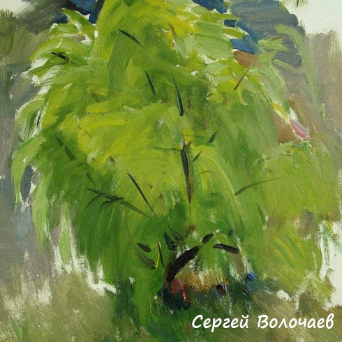 246_Этюд. 1968г., К.м., 25х34 см