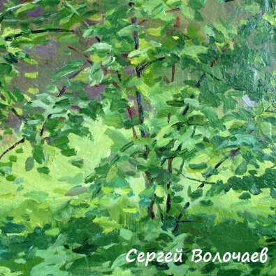 251_(5) Летний этюд. 1990г., К.м.,18х24см