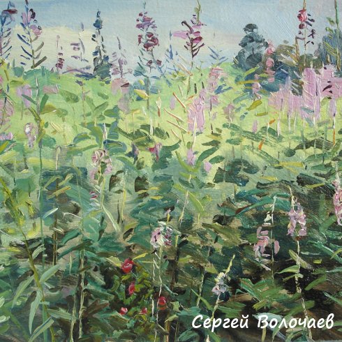 253_Иван-чай. 1980г., К.м.,29х24,5 см