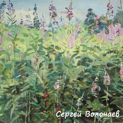 253_Иван-чай. 1980г., К.м.,29х24,5 см