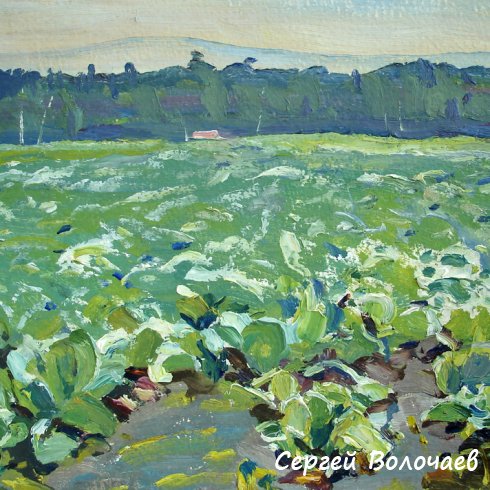 254_(10) Капустное поле. 1976г., К.м., 25х20