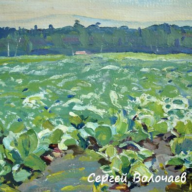 254_(10) Капустное поле. 1976г., К.м., 25х20