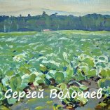 254_(10) Капустное поле. 1976г., К.м., 25х20