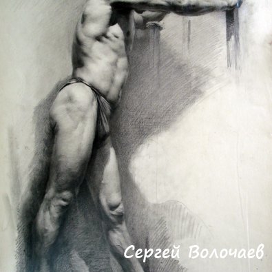 275_Учебный рисунок. 1955г.Бум.кар.,60х42 см